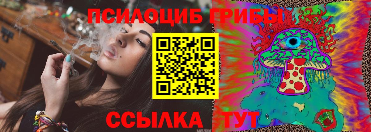 Галлюциногенные грибы Psilocybe Красноармейск